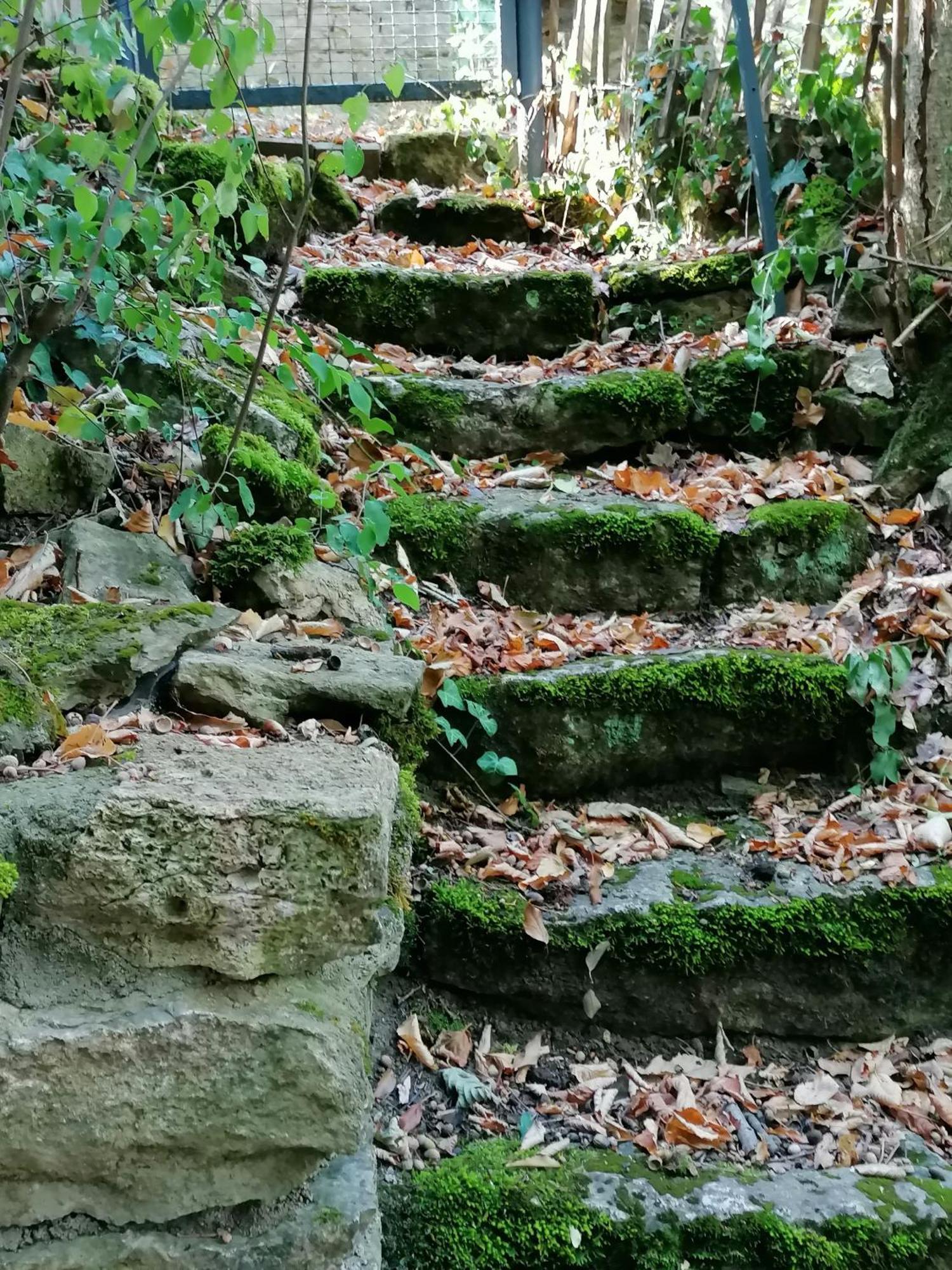 Kirschberghof Gaestehaus Und Weinverkauf 솜머하우젠 외부 사진