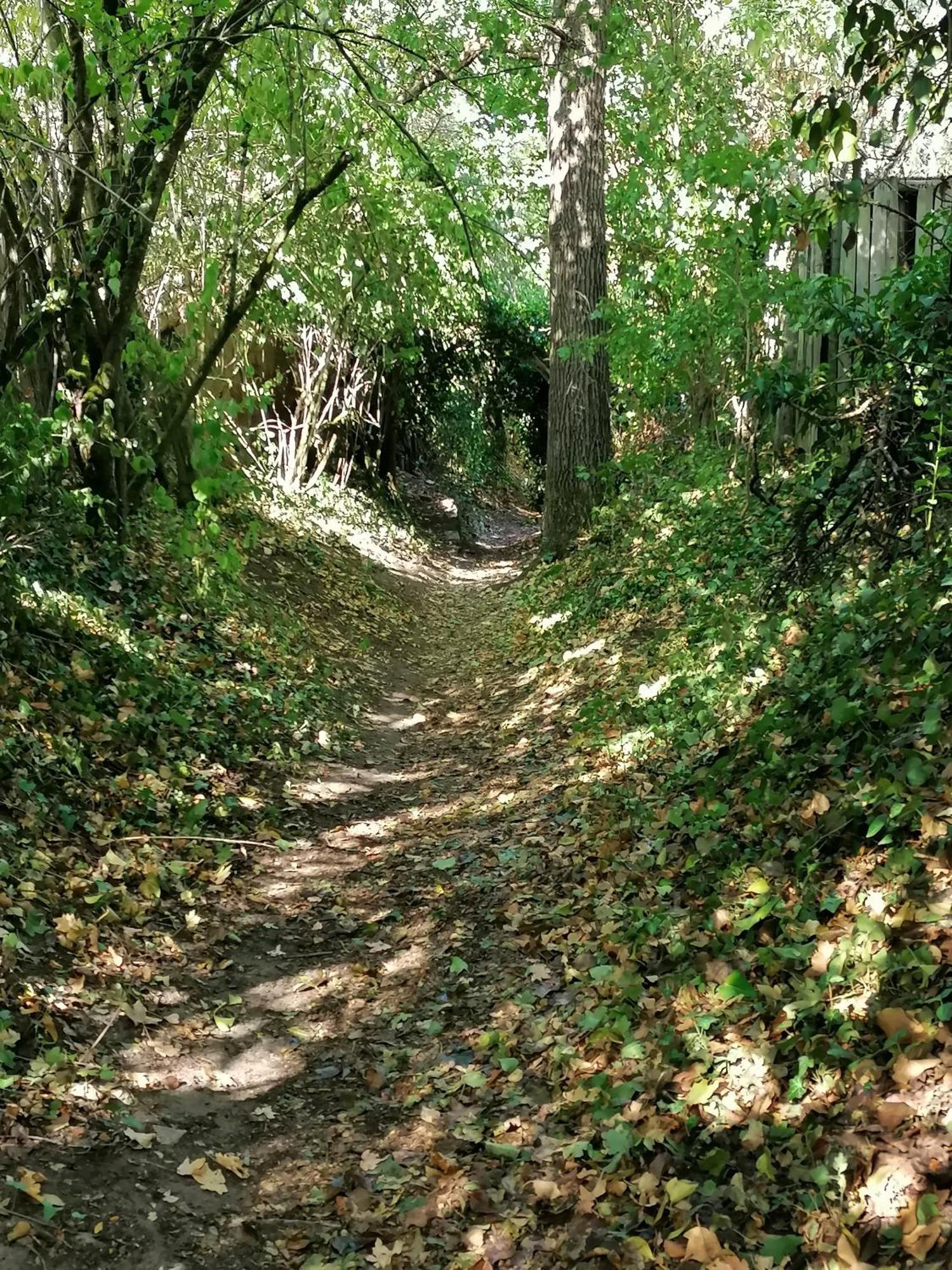 Kirschberghof Gaestehaus Und Weinverkauf 솜머하우젠 외부 사진