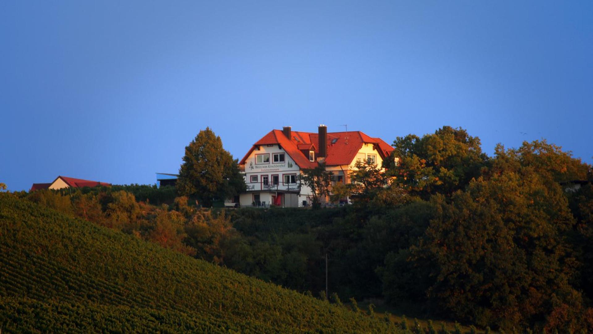 Kirschberghof Gaestehaus Und Weinverkauf 솜머하우젠 외부 사진